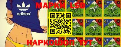 молекула духа Будённовск