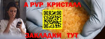 молекула духа Будённовск