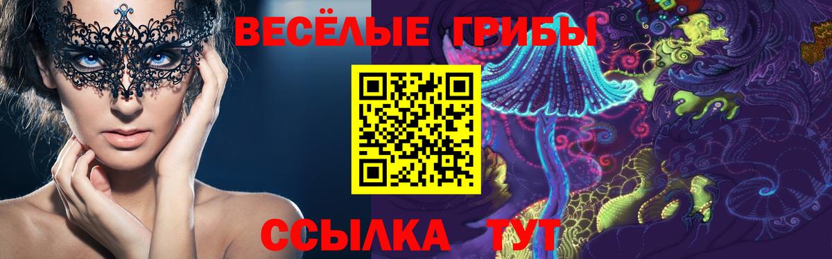 Галлюциногенные грибы Magic Shrooms  Вход с VPN  Магадан 